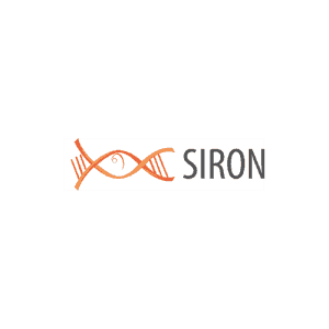 Siron